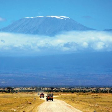 Kenia Amboseli NP Pirschfahrt Iwanowskis Reisen - afrika.de