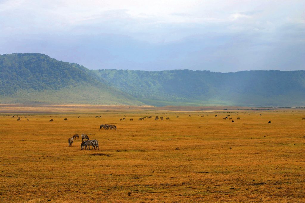 Tansania Ngorongoro Krater Iwanowskis Reisen - afrika.de