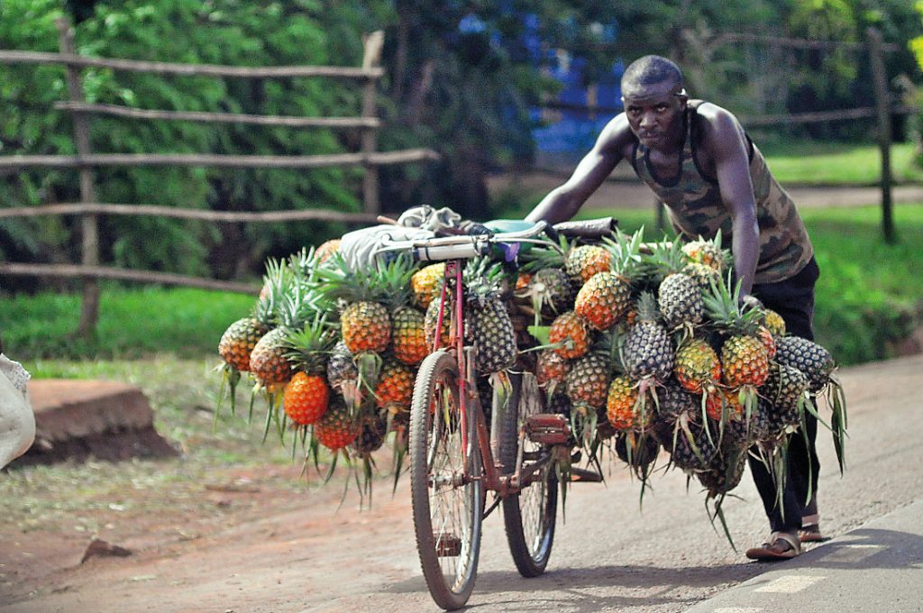 Ruanda Ananas-Verkäufer Iwanowskis Reisen - afrika.de