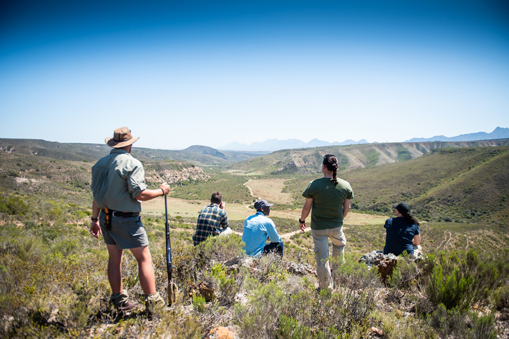 Südafrika Western Cape George Gondwana Game Reserve Pioneer Trail Wanderung Iwanowskis Reisen - afrika.de