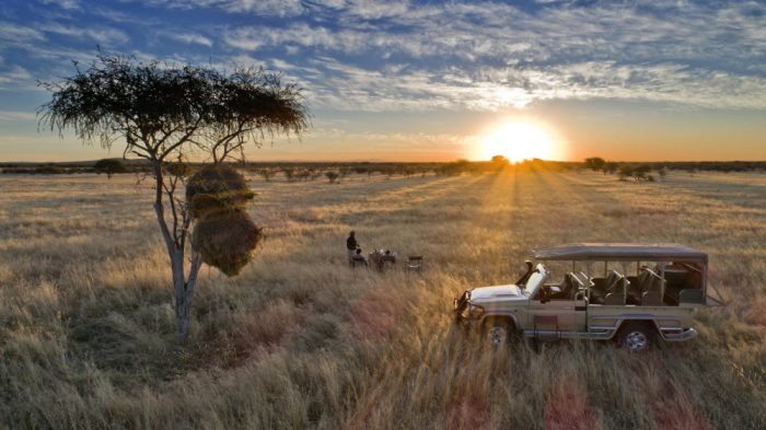 Namibia Etosha Heights Private Game Reserve Safari House Pirschfahrt Iwanowskis Reisen - afrika.de