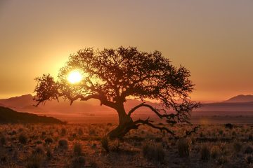 Namibia Tirasberge Ranch Koiimasis Sonnenuntergang Iwanowskis Reisen - Afrika.de