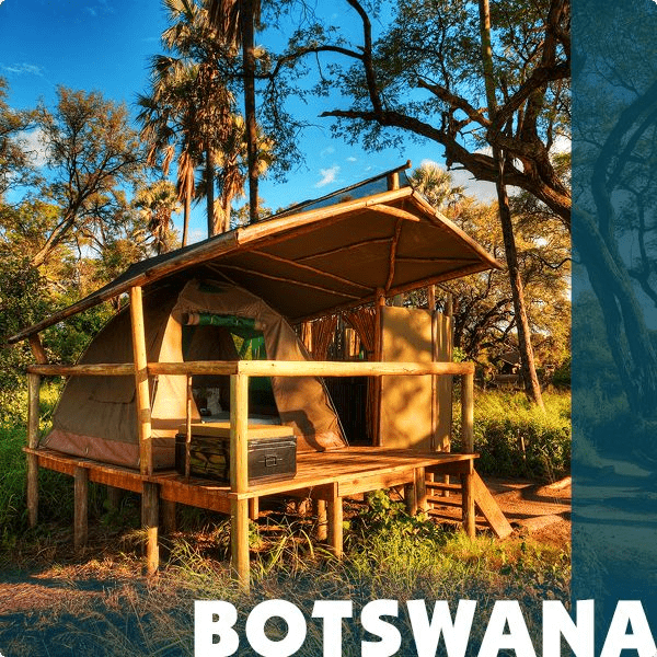Reiseziel Botswana - Iwanowskis Reisen