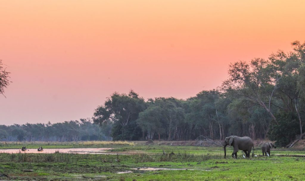 Sambia Lower Zambezi NP Chula Camp Elefanten Iwanowskis Reisen - afrika.de