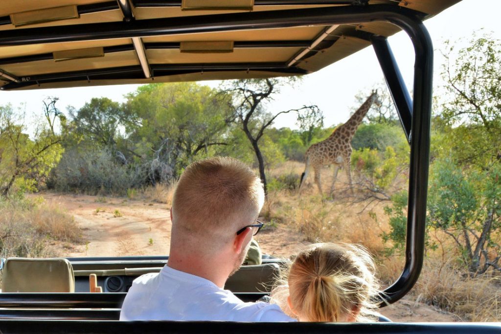 Südafrika Mabula Game Reserve Safari Plains Pirschfahrt Iwanowskis Reisen - afrika.de