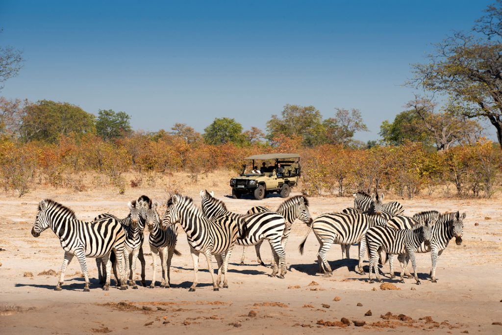 Botswana Linyanti Wildlife Reserve Expeditions Camp Pirschfahrt Iwanowskis Reisen - afrika.de