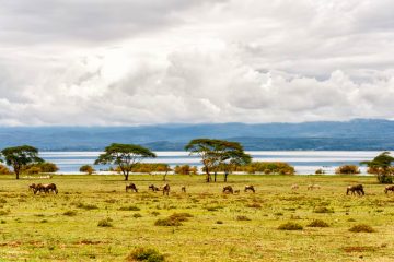Kenia Lake Naivasha Elsamere Lodge Iwanowskis Reisen - afrika.de