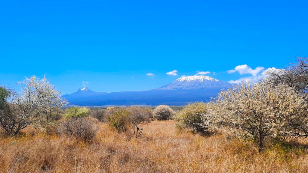 Kenia Amboseli National Park Elerai Camp Kilimanjaro Iwanowskis Reisen - afrika.de
