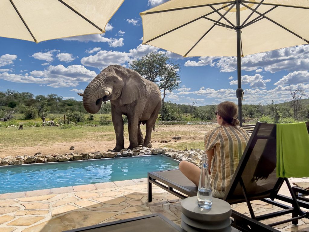 Namibia Etosha National Park Ongava Tented Camp Pool Elefant Iwanowskis Reisen - afrika.de