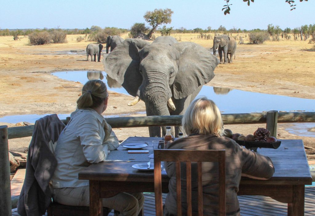 Simbabwe Hwange National Park Nehimba Safari Lodge Wasserloch Iwanowskis Reisen - afrika.de