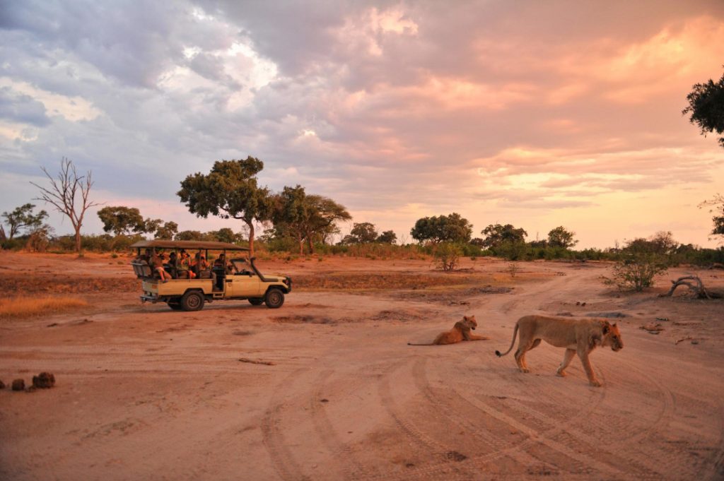 Simbabwe Hwange National Park Somalisa Camp Pirschfahrt Iwanowskis Reisen - afrika.de