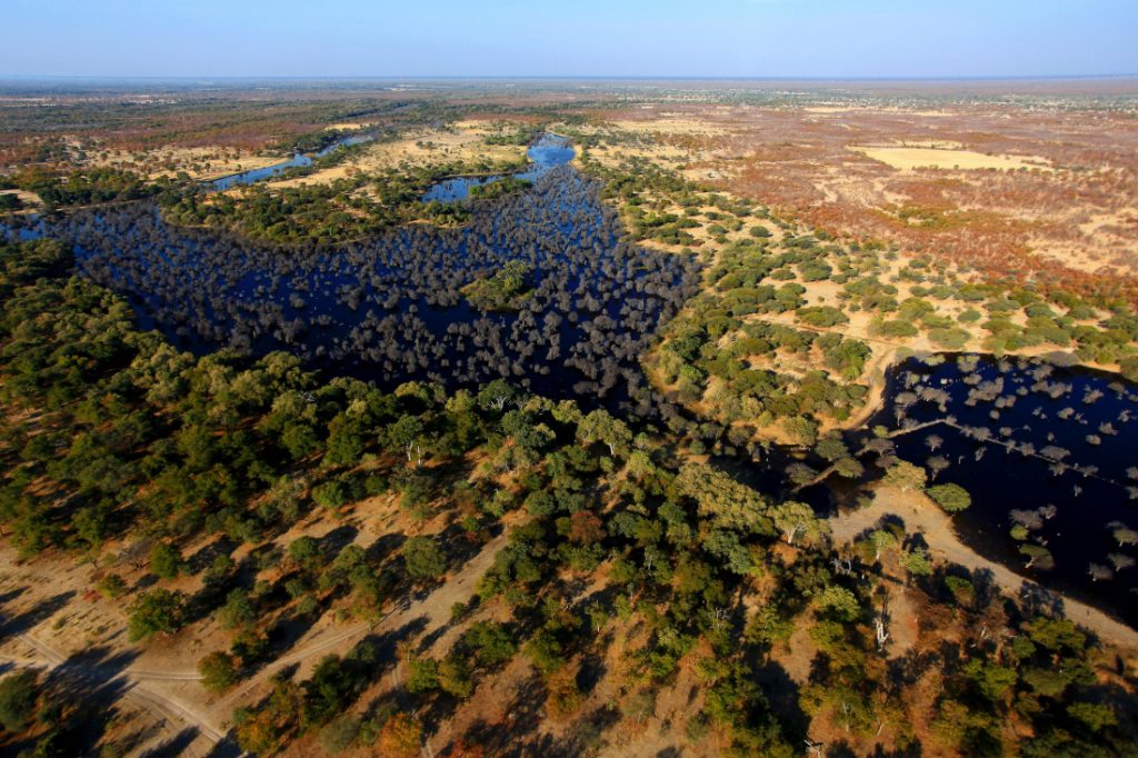 Botwana Okavango Delta Sunway Iwanowskis Reisen - afrika.de