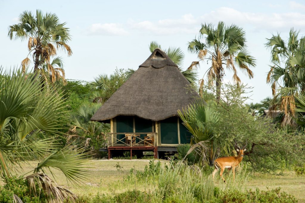 Tansania Tarangire National Park Maramboi Tented Camp Safarizelt Iwanowskis Reisen - afrika.de