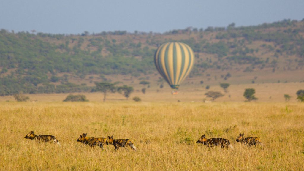 Tansania Serengeti Ndutu Safari Lodge Ballonfahrt Iwanowskis Reisen - afrika.de