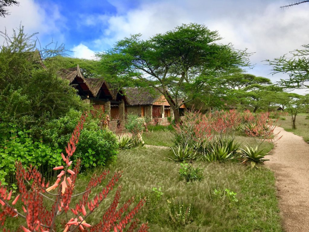 Tansania Serengeti Ndutu Safari Lodge Cottages Iwanowskis Reisen - afrika.de