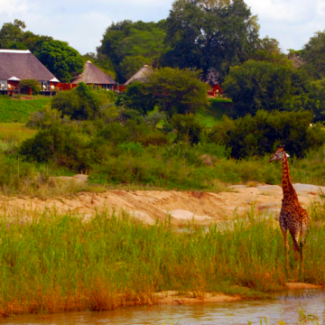 Südafrika MalaMala Game Reserve Main Camp Iwanowskis Reisen - afrika.de