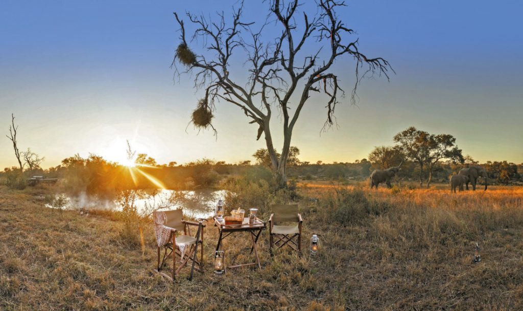 Südafrika Kruger National Park Kings Camp Pirschfahrt Iwanowskis Reisen - afrika.de