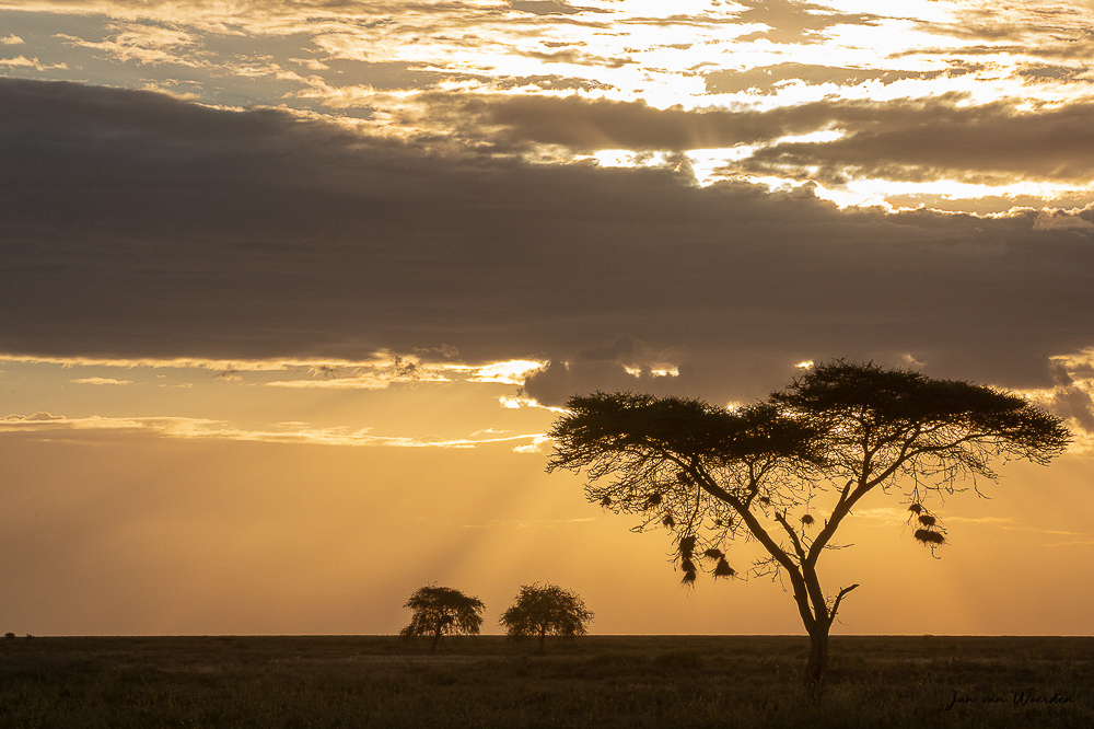 Tansania Serengeti Hippo Trails Camp Sonnenuntergang Iwanowskis Reisen - afrika.de