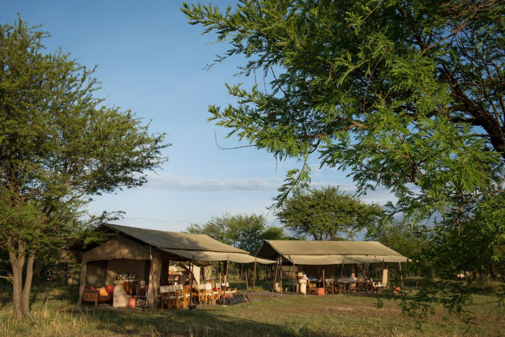 Tansania Serengeti Ubuntu Camp Iwanowskis Reisen - afrika.de