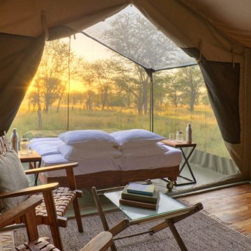 Tansania Serengeti Olakira Camp Safarizelt Iwanowskis Reisen - afrika.de