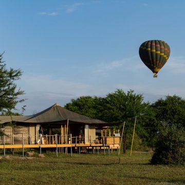 Tansania Serengeti Sayari Camp Iwanowskis Reisen - afrika.de