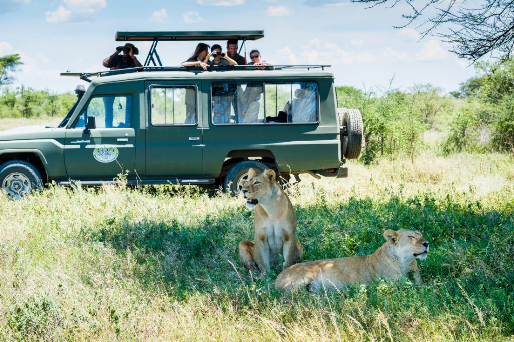 Tansania Serengeti Grumeti Hills Lodge Pirschfahrt Iwanowskis Reisen - afrika.de