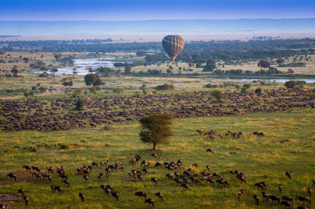 Tansania Serengeti Esirai Migration Camp Gnuherden Ballon Iwanowskis Reisen - afrika.de