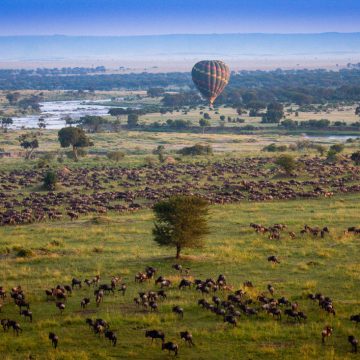 Tansania Serengeti Esirai Migration Camp Gnuherden Ballon Iwanowskis Reisen - afrika.de