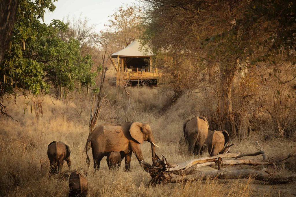 Tansania Tarangire Nationalpark Olkeri Camp Iwanowskis Reisen - afrika.de