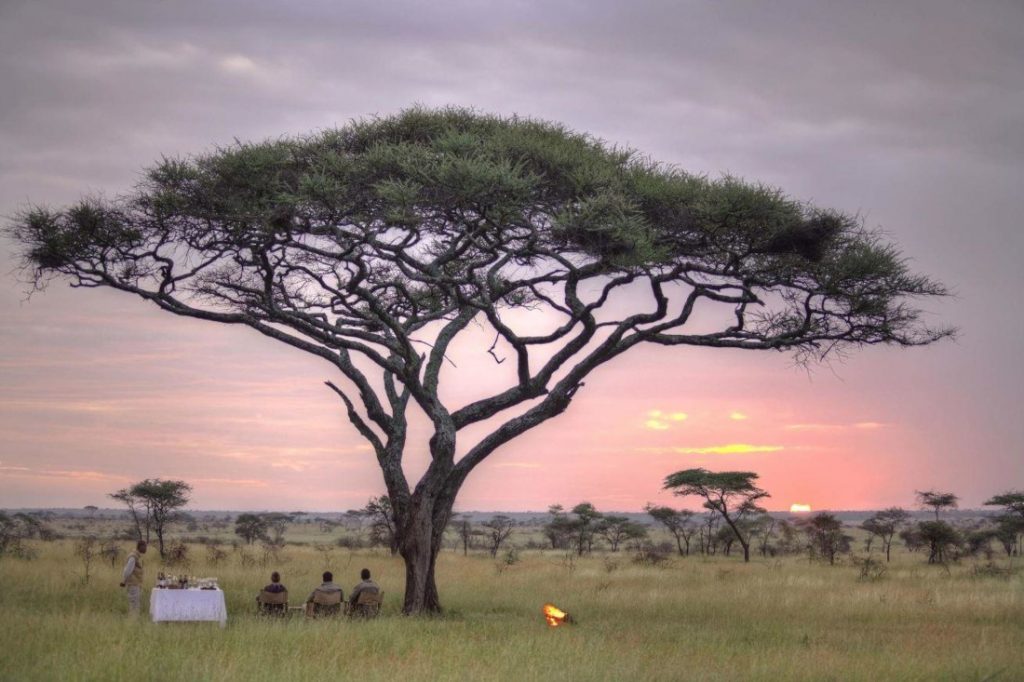Tansania Serengeti Olmara Camp Sundowner Iwanowskis Reisen - afrika.de