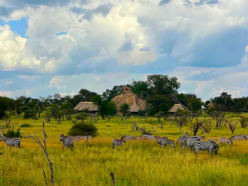 Tansania Serengeti Togoro Plains Camp Iwanowskis Reisen - afrika.de