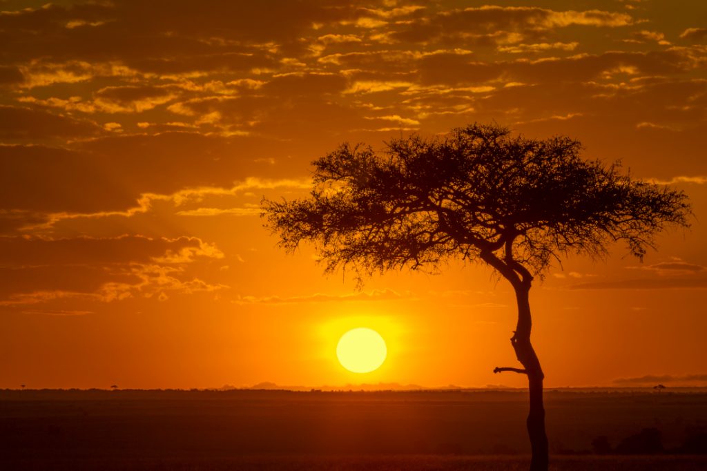 Kenia Familiensafari Sonnenuntergang Iwanowskis Reisen - afrika.de