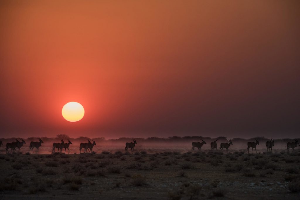 Namibia Etosha National Park Etosha Mountain Lodge Sonnenuntergang Iwanowskis Reisen - afrika.de