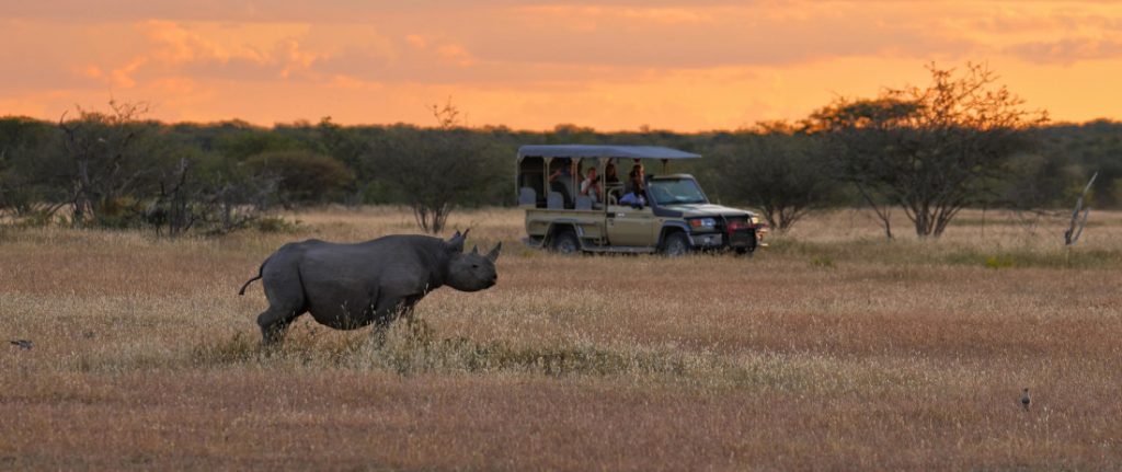 Namibia Etosha National Park Etosha Mountain Lodge Sundowner Drive Iwanowskis Reisen - afrika.de