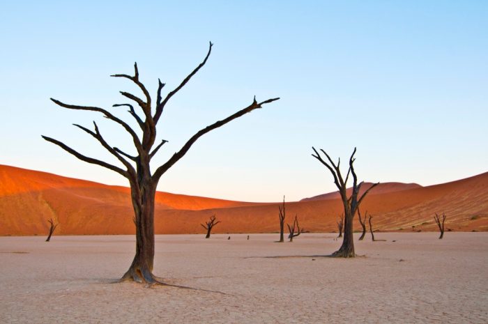 Namibia Sossusvlei Deadvlei NTT Iwanowskis Reisen - afrika.de