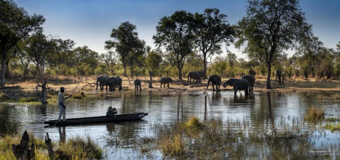 Botswana Moremi Khwai Lediba Camp Mokorofahrt Iwanowskis Reisen - afrika.de