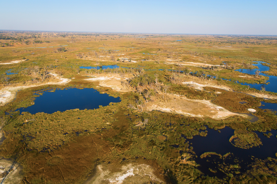 Botswana Okavango Delta Bushways Premium Camping Iwanowskis Reisen - afrika.de