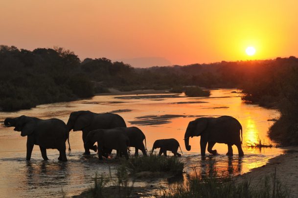Südafrika Sabi Sands Inyati Game Lodge Sonnenuntergang Elefanten Iwanowskis Reisen - afrika.de