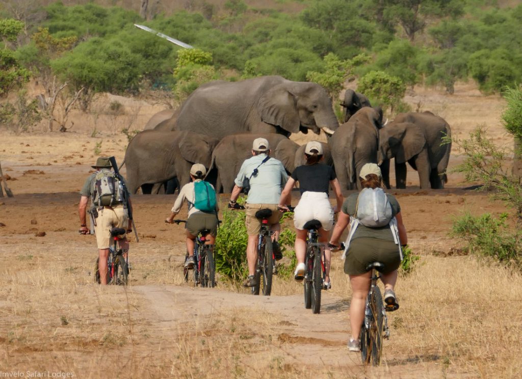 Simbabwe Hwange National Park Jozibanini Camp Mountainbike Iwanowskis Reisen - afrika.de