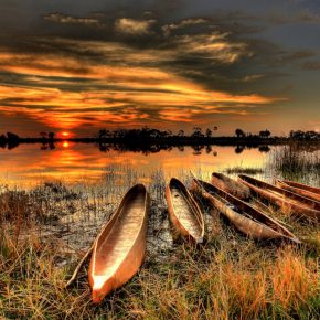 Botswana Okavango Delta Mokorofahrt Iwanowskis Reisen - afrika.de