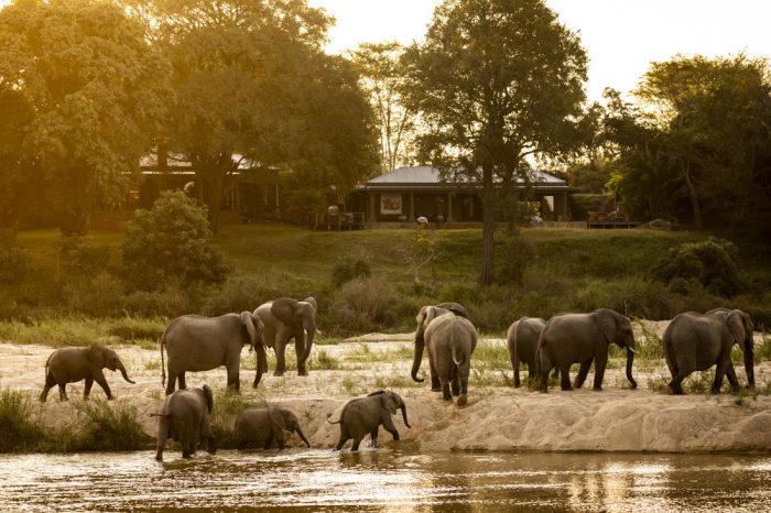 suedafrika-rattrays-on-mala-mala-elefanten-2