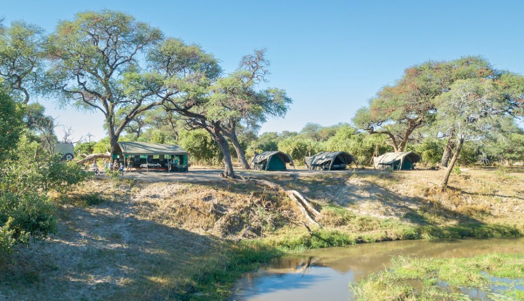 Botswana Mababe Private Reserve Sunway Bruce Taylor Iwanowskis Reisen - afrika.de