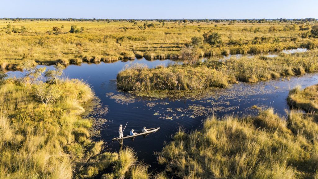 Botswana Moremi Game Reserve Monachira Camp Mokorofahrt Iwanowskis Reisen - afrika.de