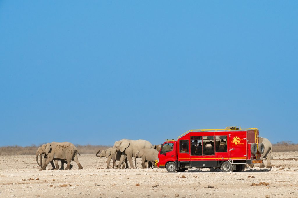 Namibia Etosha Nationalpark Safaritruck Sunway Anton Roberts Iwanowskis Reisen - afrika.de