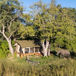 Botswana Moremi Game Reserve Monachira Camp Zeltunterkunft Iwanowskis Reisen - afrika.de