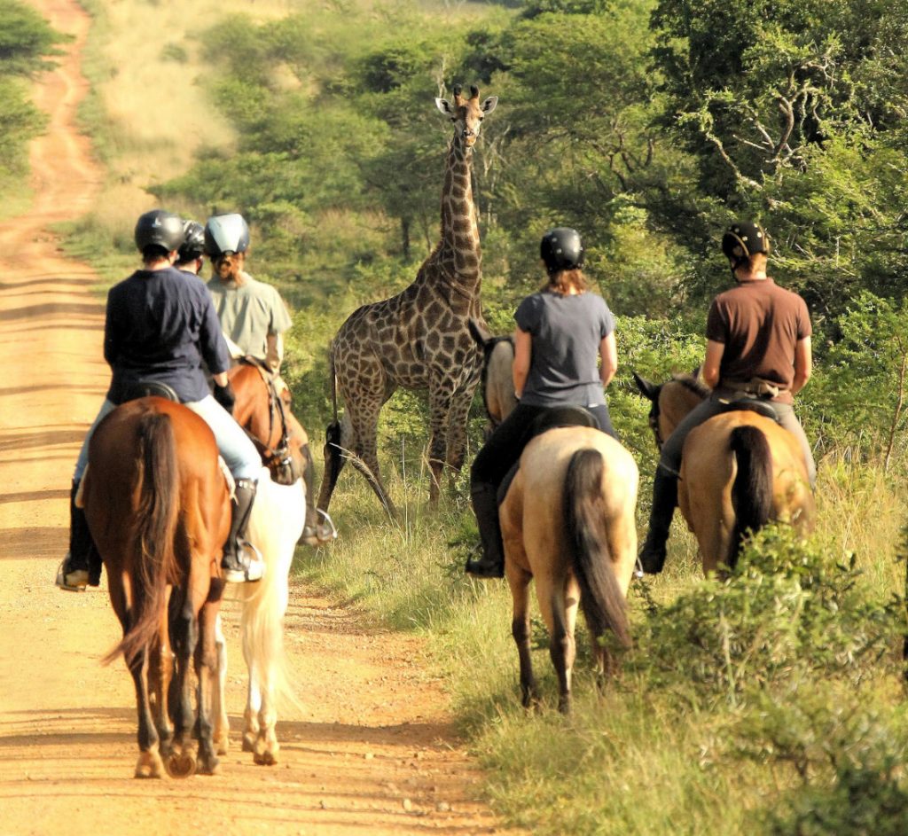 Südafrika Pakamisa Private Game Reserve Reitsafari Iwanowskis Reisen - afrika.de