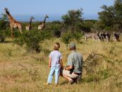 südafrika safaris