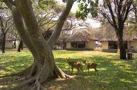 südafrika safari camp
