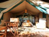 tansania camps