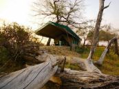 Tansania, Selous NP., Lake Manze Camp - afrika.de